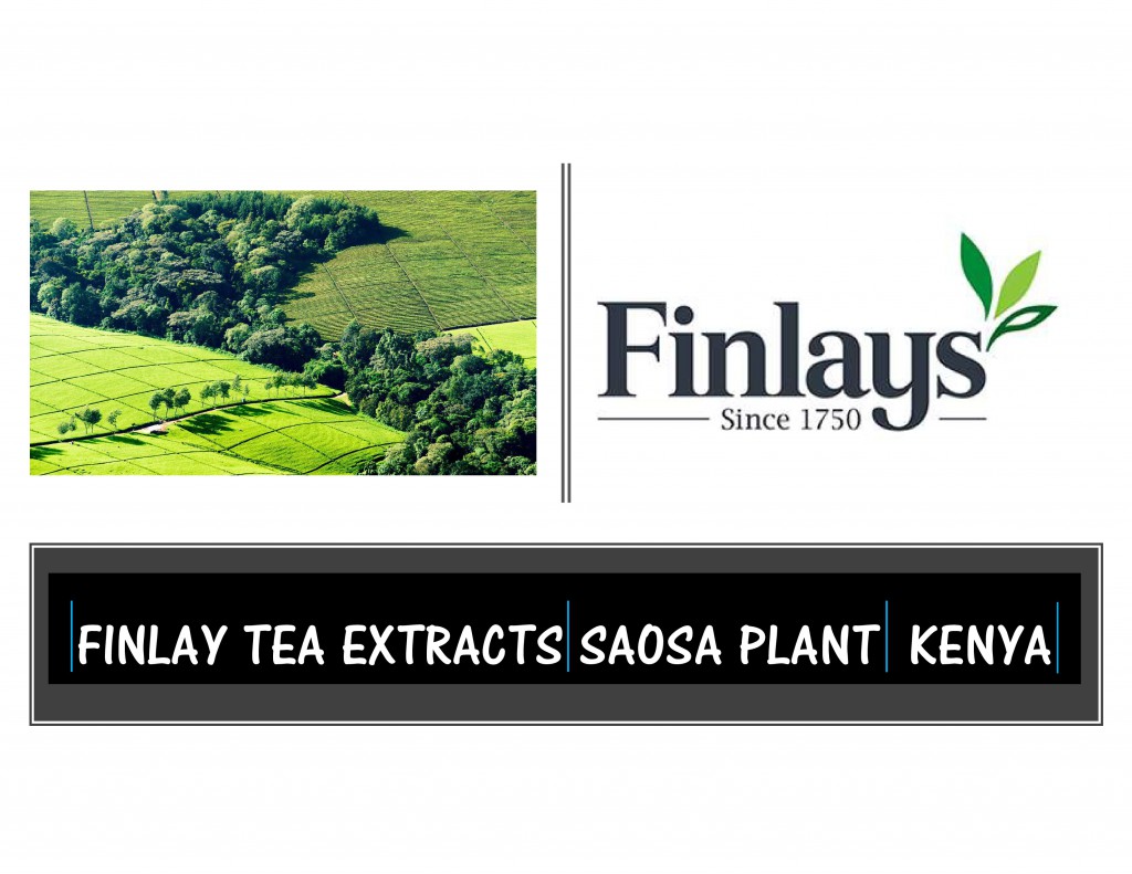 Saosa Tea Extract photo-QMS-01 Saosa Tea Extract photo-QMS-01